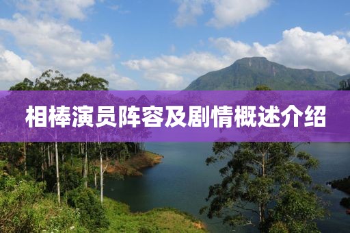 2025年2月 第5页