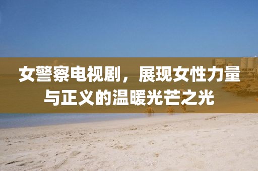 女警察电视剧，展现女性力量与正义的温暖光芒之光