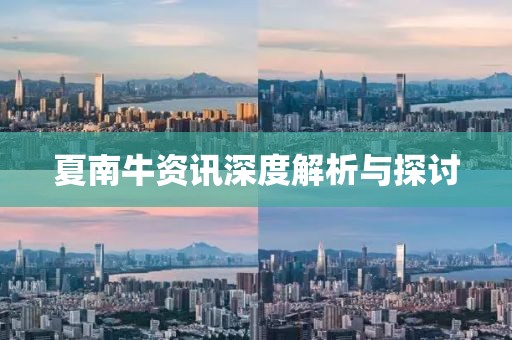 夏南牛资讯深度解析与探讨