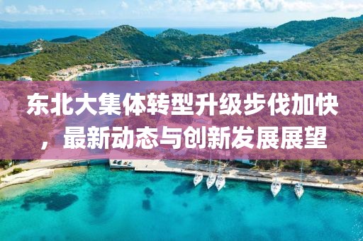 东北大集体转型升级步伐加快，最新动态与创新发展展望