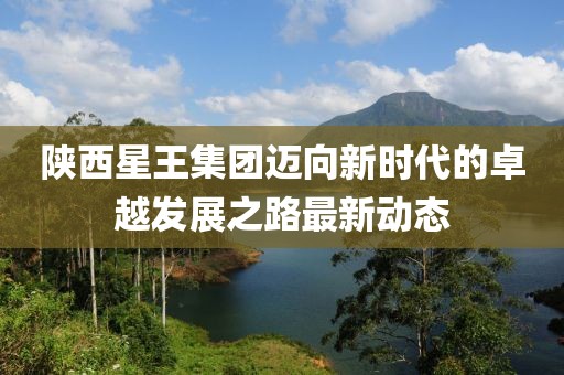 陕西星王集团迈向新时代的卓越发展之路最新动态