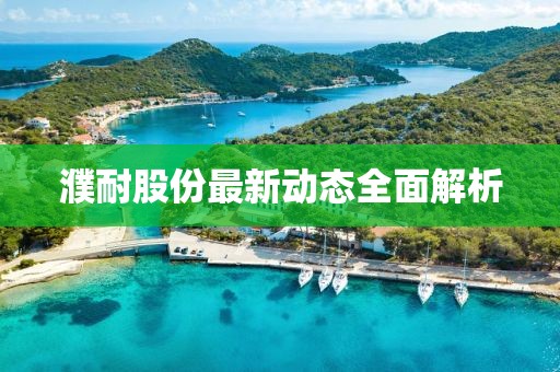 濮耐股份最新动态全面解析