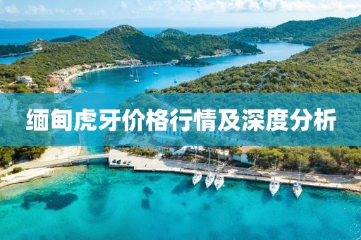缅甸虎牙价格行情及深度分析