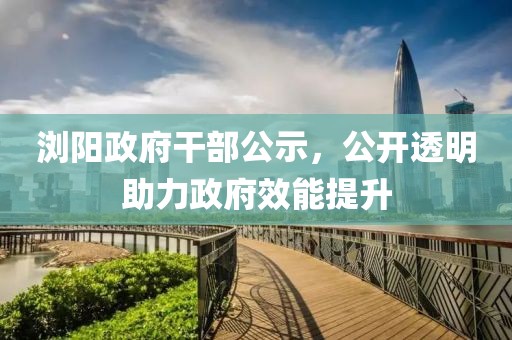 浏阳政府干部公示，公开透明助力政府效能提升