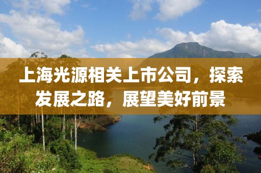 上海光源相关上市公司，探索发展之路，展望美好前景