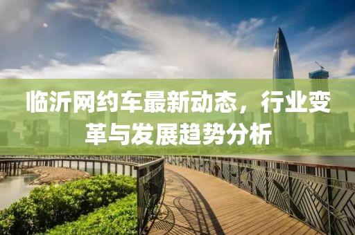 临沂网约车最新动态，行业变革与发展趋势分析