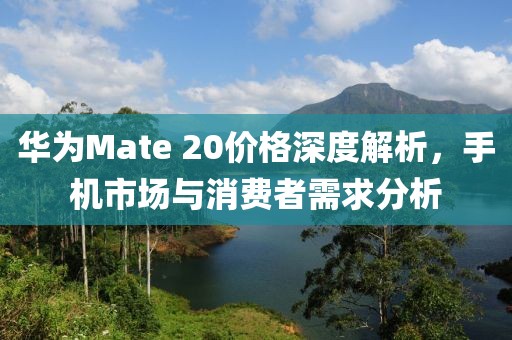 华为Mate 20价格深度解析，手机市场与消费者需求分析
