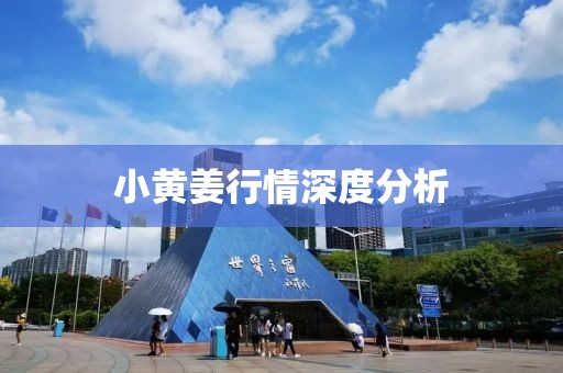 小黄姜行情深度分析