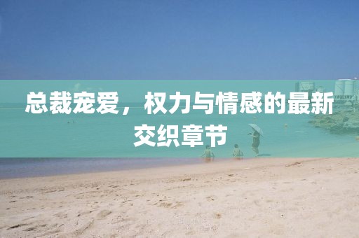 总裁宠爱，权力与情感的最新交织章节