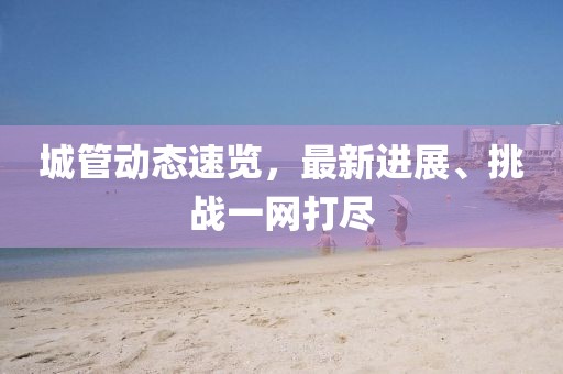 城管动态速览，最新进展、挑战一网打尽