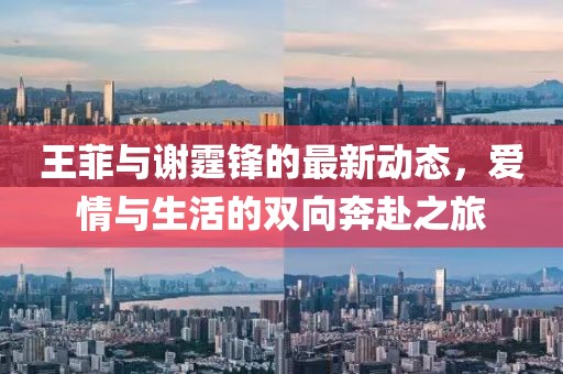 王菲与谢霆锋的最新动态，爱情与生活的双向奔赴之旅