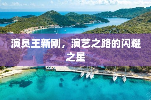 演员王新刚，演艺之路的闪耀之星
