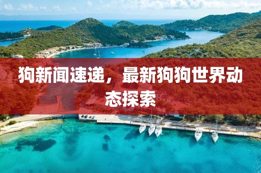 狗新闻速递，最新狗狗世界动态探索