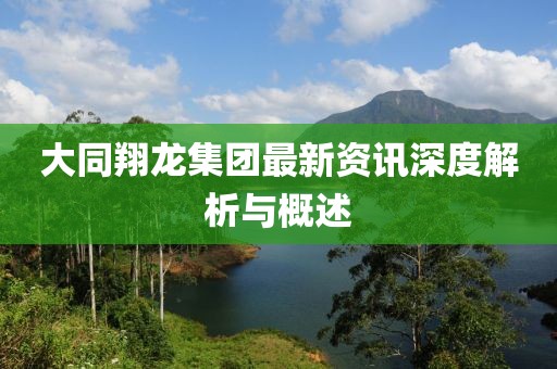 大同翔龙集团最新资讯深度解析与概述