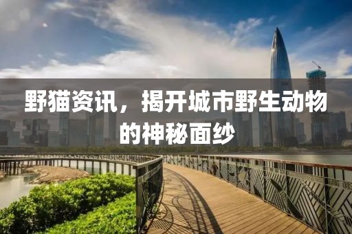 野猫资讯，揭开城市野生动物的神秘面纱