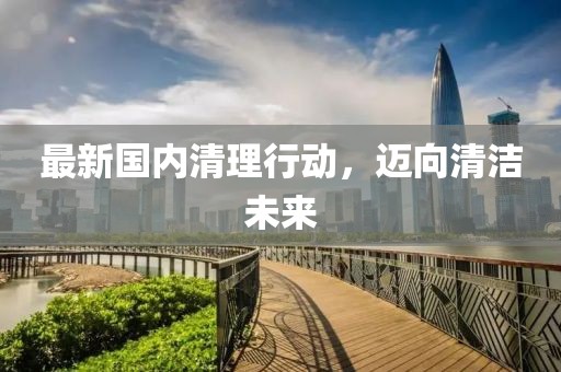 最新国内清理行动，迈向清洁未来