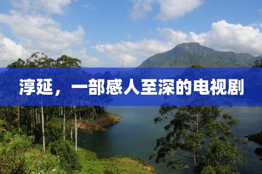 淳延，一部感人至深的电视剧