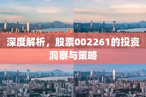 深度解析，股票002261的投资洞察与策略
