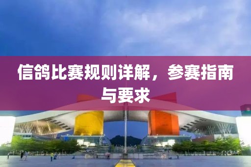 信鸽比赛规则详解，参赛指南与要求