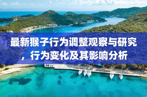 最新猴子行为调整观察与研究，行为变化及其影响分析