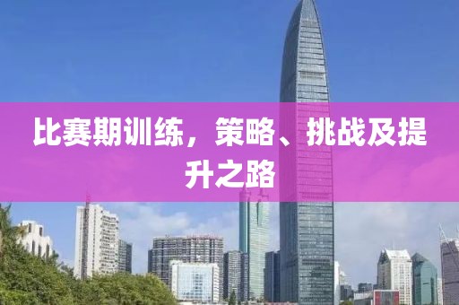 比赛期训练，策略、挑战及提升之路