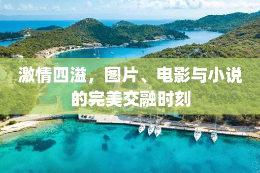 激情四溢，图片、电影与小说的完美交融时刻