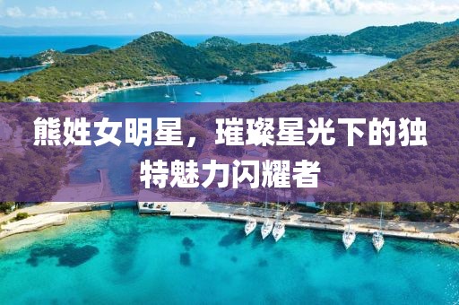 熊姓女明星，璀璨星光下的独特魅力闪耀者