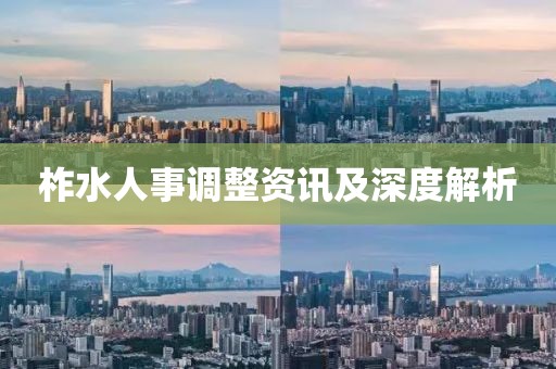 柞水人事调整资讯及深度解析