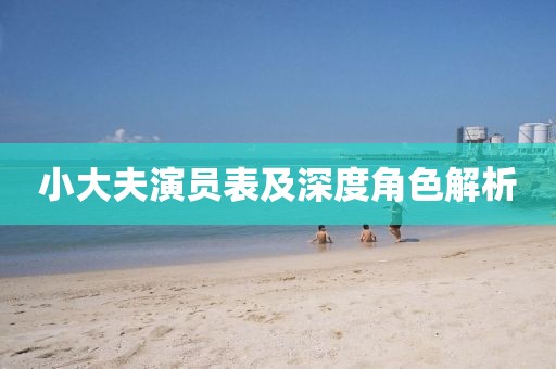 小大夫演员表及深度角色解析