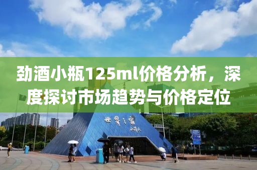 劲酒小瓶125ml价格分析，深度探讨市场趋势与价格定位