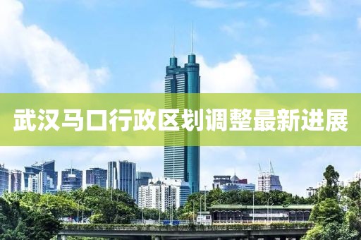 武汉马口行政区划调整最新进展