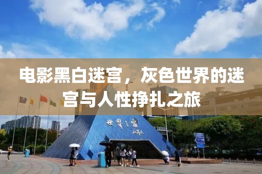 电影黑白迷宫，灰色世界的迷宫与人性挣扎之旅
