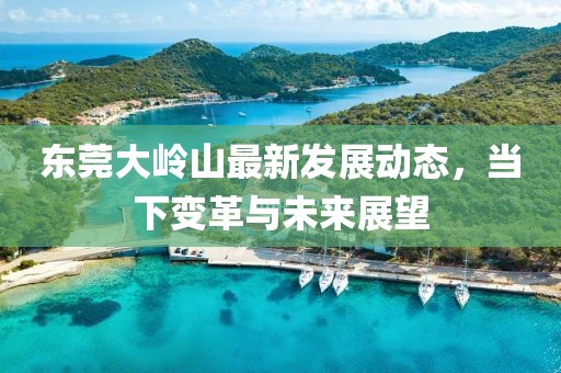 东莞大岭山最新发展动态，当下变革与未来展望