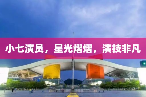 小七演员，星光熠熠，演技非凡