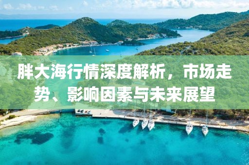 胖大海行情深度解析，市场走势、影响因素与未来展望
