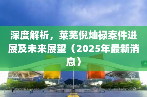 深度解析，莱芜倪灿禄案件进展及未来展望（2025年最新消息）