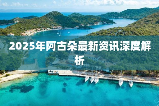 2025年阿古朵最新资讯深度解析