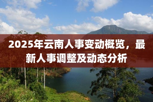 2025年云南人事变动概览，最新人事调整及动态分析