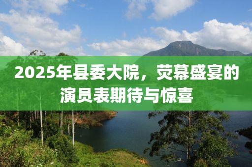 2025年县委大院，荧幕盛宴的演员表期待与惊喜