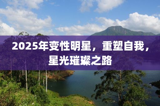 2025年变性明星，重塑自我，星光璀璨之路