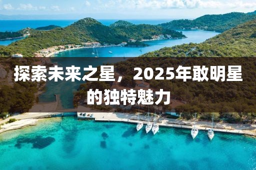探索未来之星，2025年敢明星的独特魅力