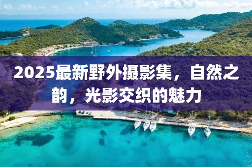2025最新野外摄影集，自然之韵，光影交织的魅力