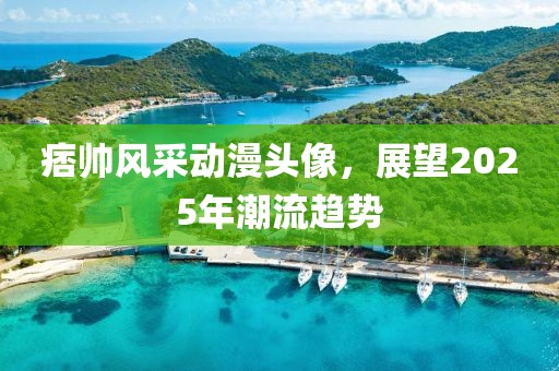 痞帅风采动漫头像，展望2025年潮流趋势