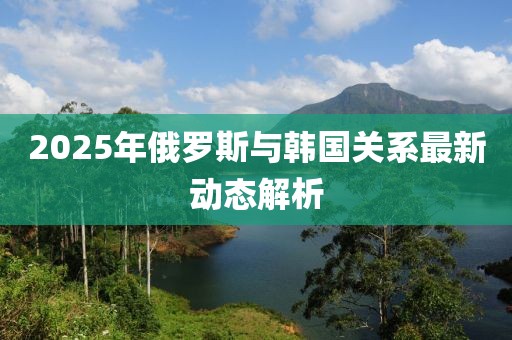 2025年俄罗斯与韩国关系最新动态解析