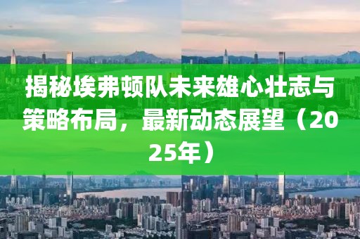 揭秘埃弗顿队未来雄心壮志与策略布局，最新动态展望（2025年）