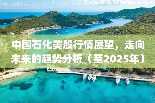 中国石化美股行情展望，走向未来的趋势分析（至2025年）