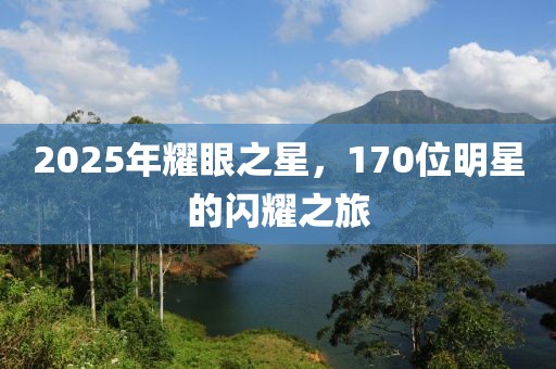 2025年耀眼之星，170位明星的闪耀之旅