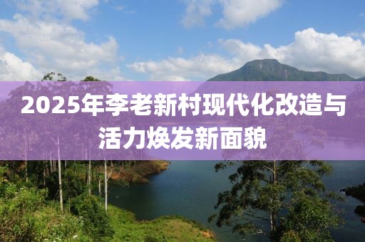 2025年李老新村现代化改造与活力焕发新面貌