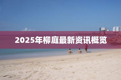 2025年柳庭最新资讯概览