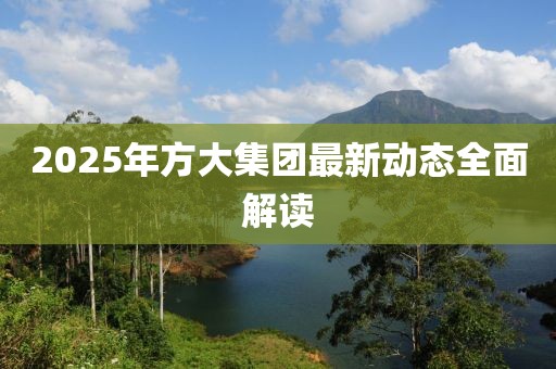 2025年方大集团最新动态全面解读